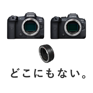 Canon EOS R5、EOS R6、マウントアダプターEF-EOS R 今後の出荷見通しについて