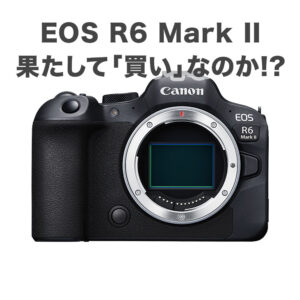 Canon EOS R6 は買いなのか!?